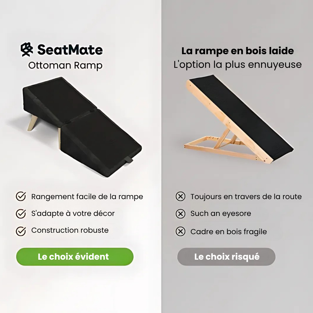 PawRest® - Rampe pour chien + pouf