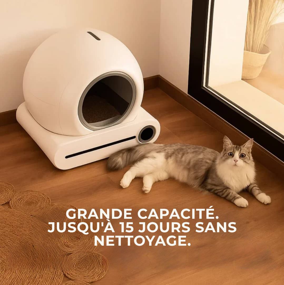 Lona - Le bac à sable intelligent qui se nettoie tout seul