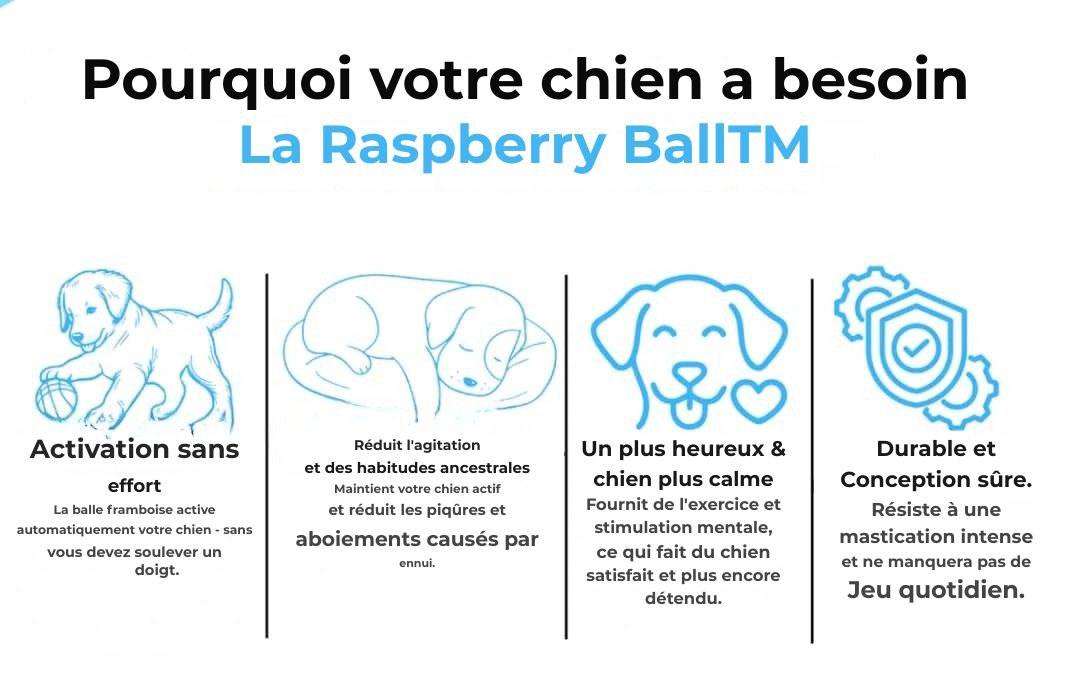 La balle framboise - Jouet interactif pour chien