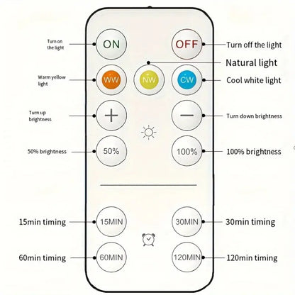 FrameLight | Donnez vie à votre art