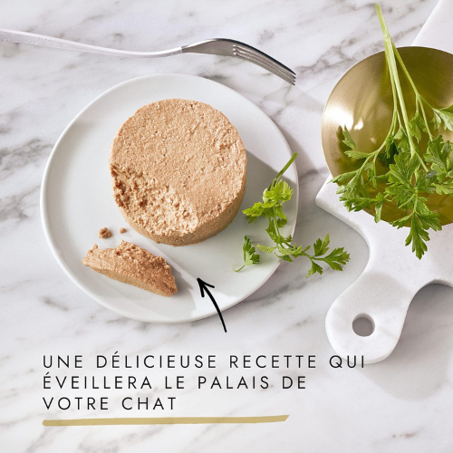 Nourriture Humide pour Chat – Sélection de Pâtés Gourmets