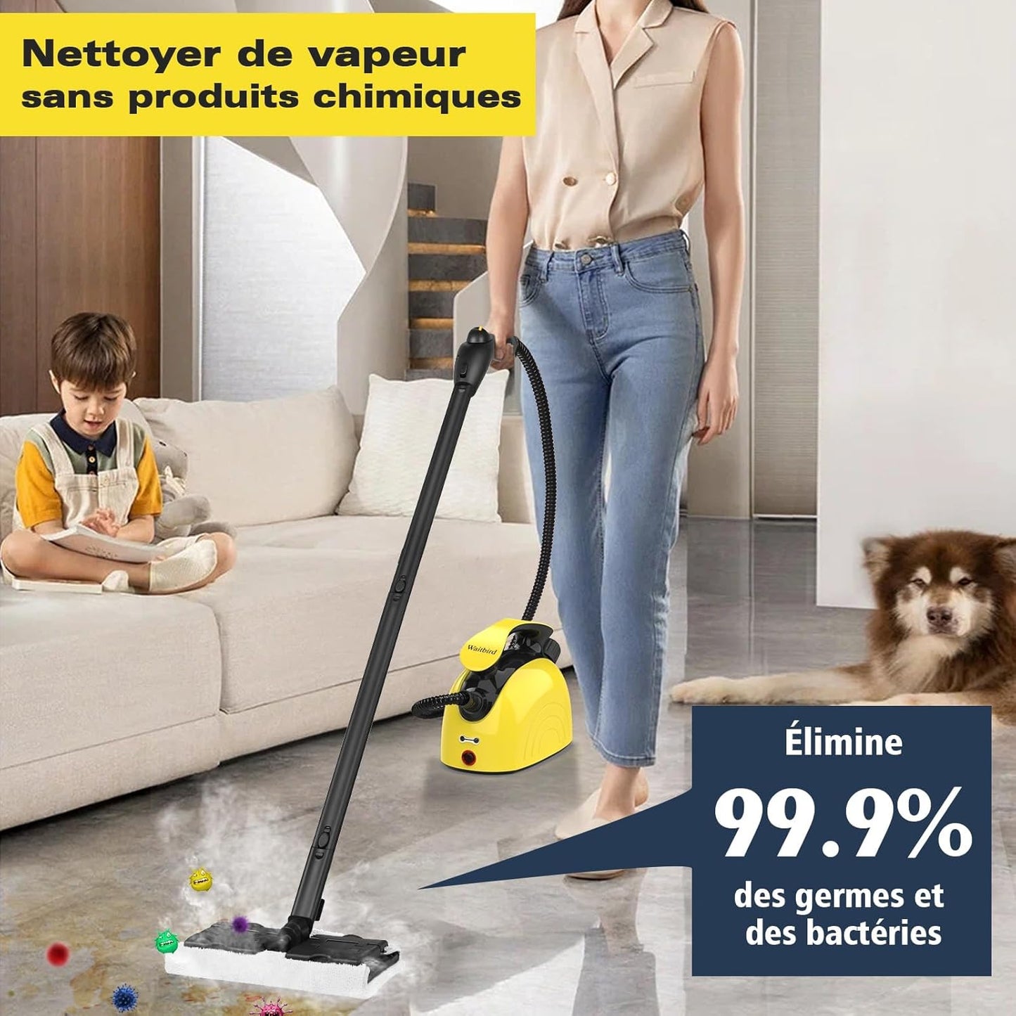 Nettoyeur Vapeur Multi-Usages - Nettoyage Naturel et Efficace pour Votre Maison