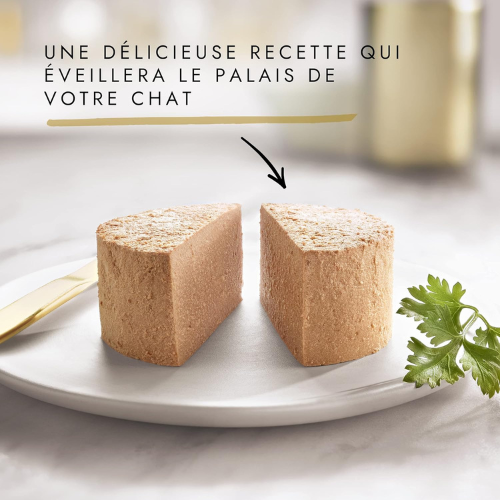 Nourriture Humide pour Chat – Sélection de Pâtés Gourmets