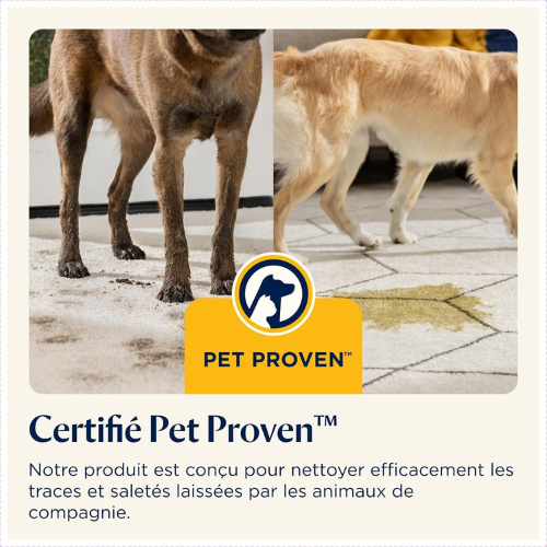 Machine Portable de Nettoyage Profond pour Tapis & Tissus d’Ameublement