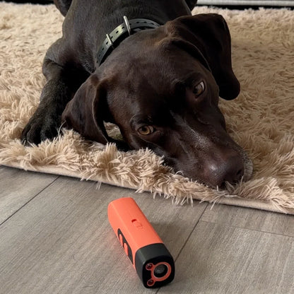 LydLyn | Arrêtez les aboiements de votre chien en un seul clic