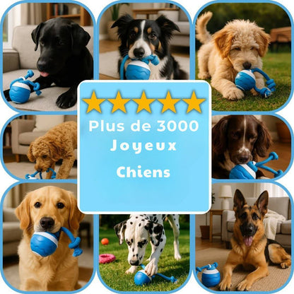 La balle framboise - Jouet interactif pour chien