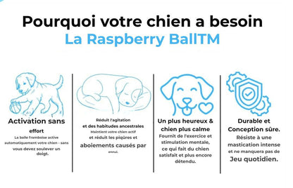 La balle framboise - Jouet interactif pour chien